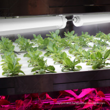 best sell OEM grow led Horticultural Led  full spectrum grow light indoor Promote vegetable growth